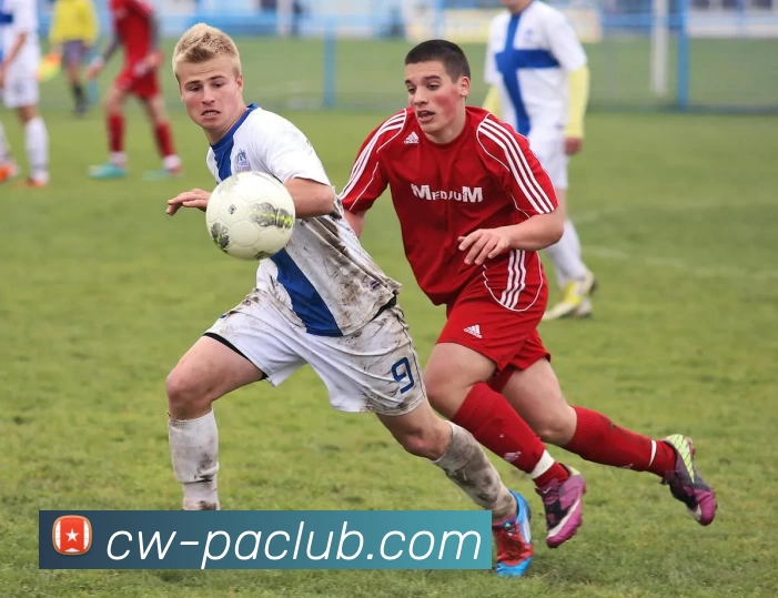 PA官方入口服务体系